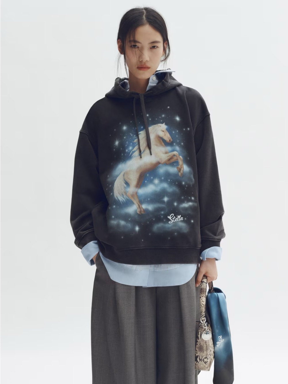 Stela McCartney x H&M collab Graphic hoodie sold out !